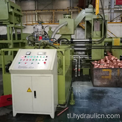 Pahalang na Steel Copper Brass Chips Briquetting Press System